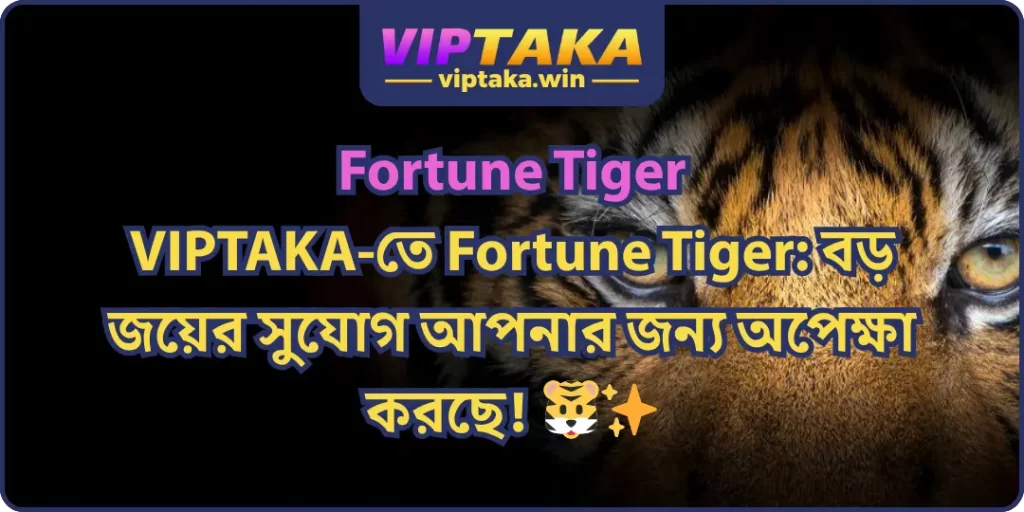Fortune Tiger on VIPTAKA: Big Wins Await!